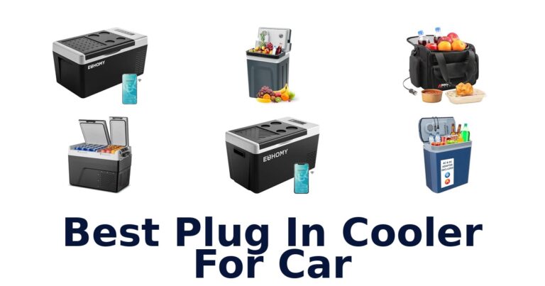 Best Plug In Cooler For Car