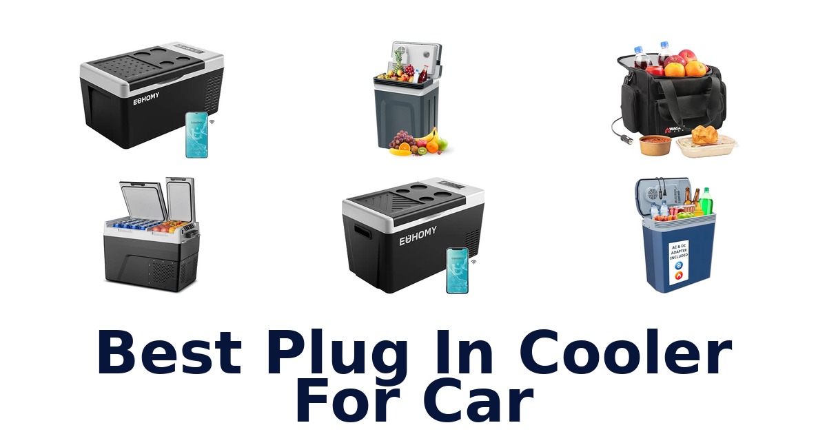 Best Plug In Cooler For Car