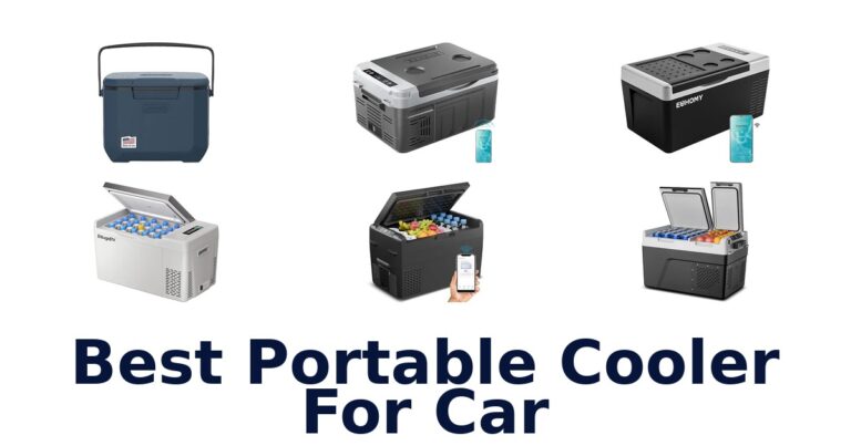 Best Portable Cooler For Car