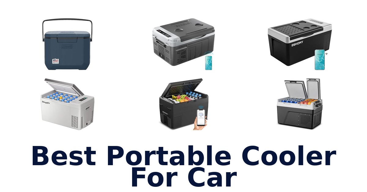 Best Portable Cooler For Car