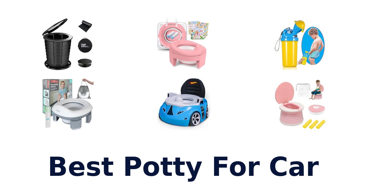 Best Potty For Car