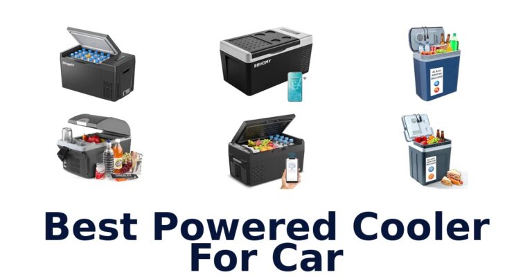 Best Powered Cooler For Car