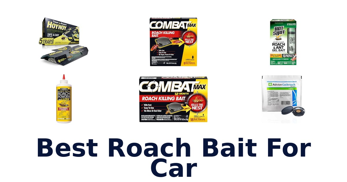 Best Roach Bait For Car