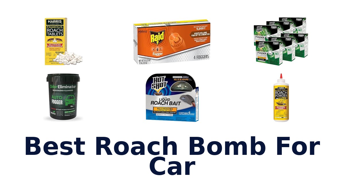 Best Roach Bomb For Car