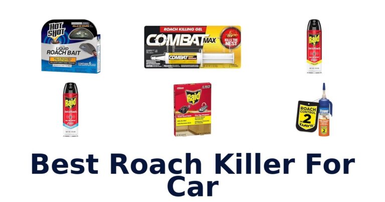 Best Roach Killer For Car