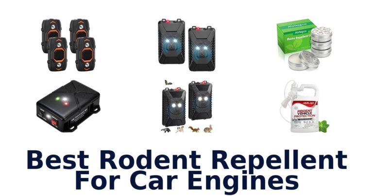 Best Rodent Repellent For Car Engines