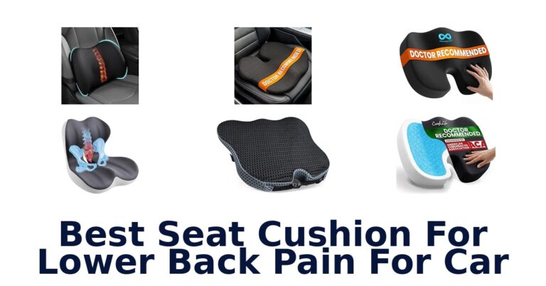 Best Seat Cushion For Lower Back Pain For Car
