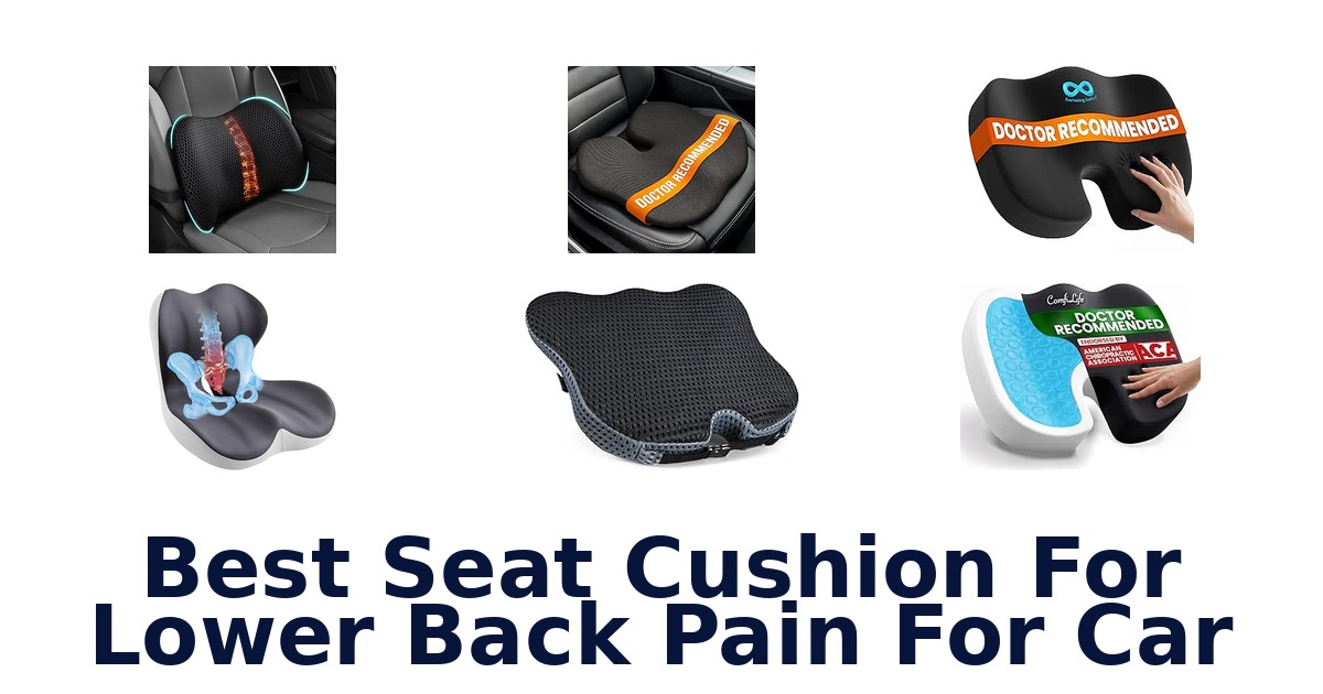 Best Seat Cushion For Lower Back Pain For Car