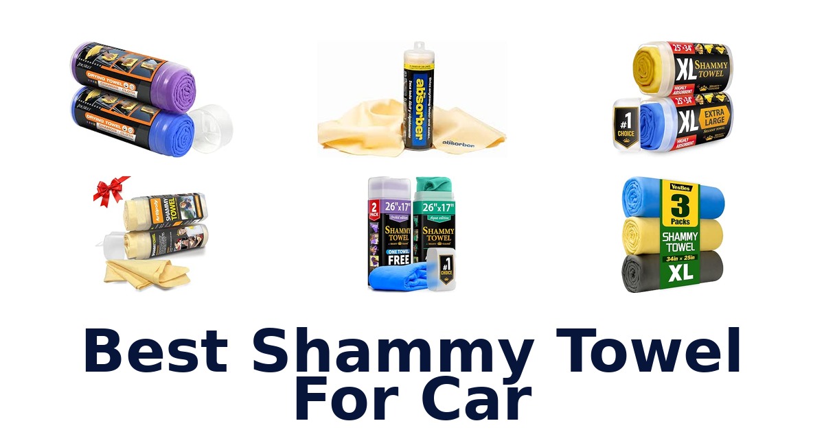 Best Shammy Towel For Car