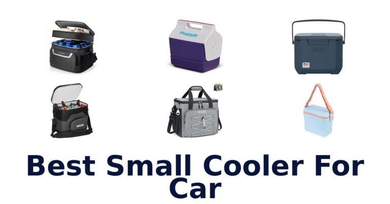 Best Small Cooler For Car