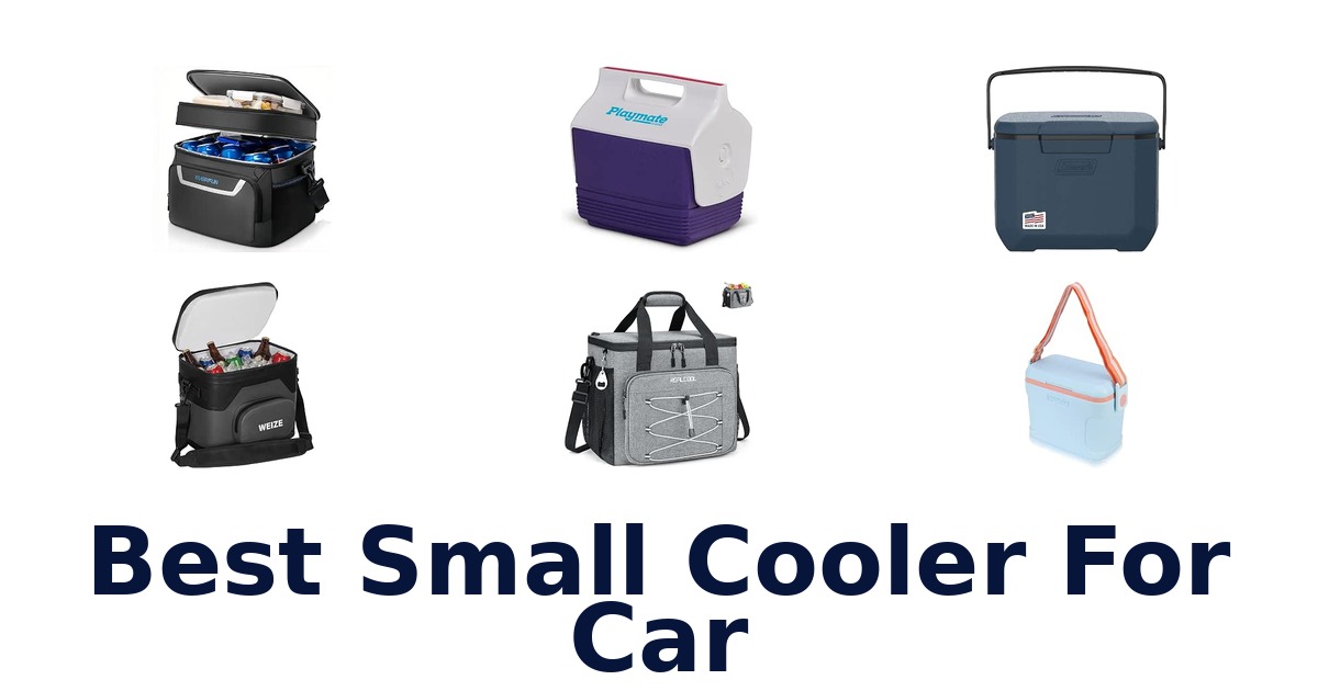 Best Small Cooler For Car