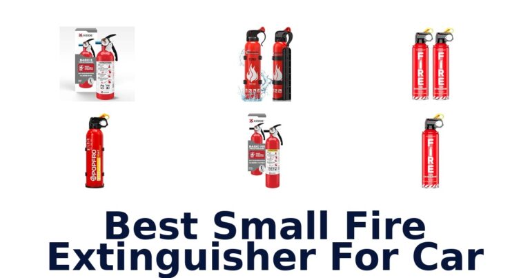 Best Small Fire Extinguisher For Car