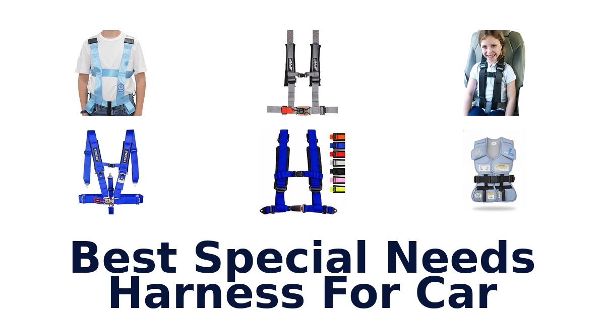 Best Special Needs Harness For Car