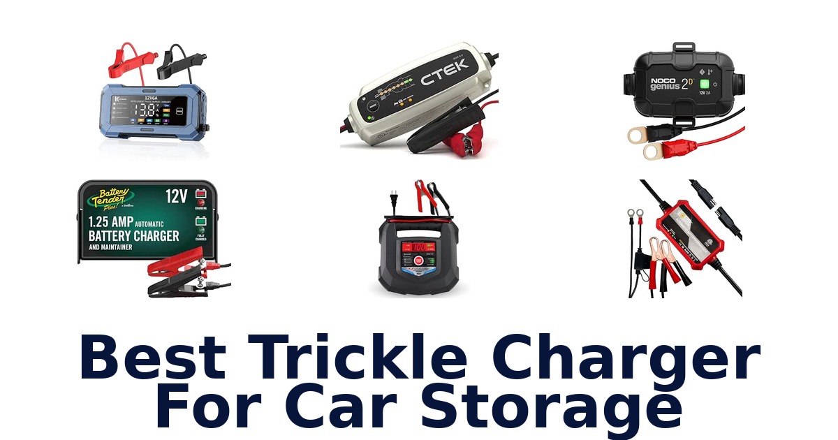 Best Trickle Charger For Car Storage