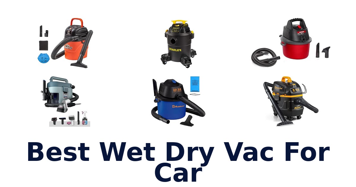 Best Wet Dry Vac For Car