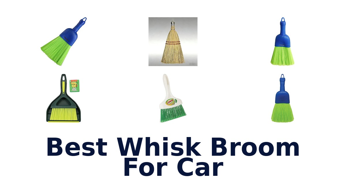 Best Whisk Broom For Car