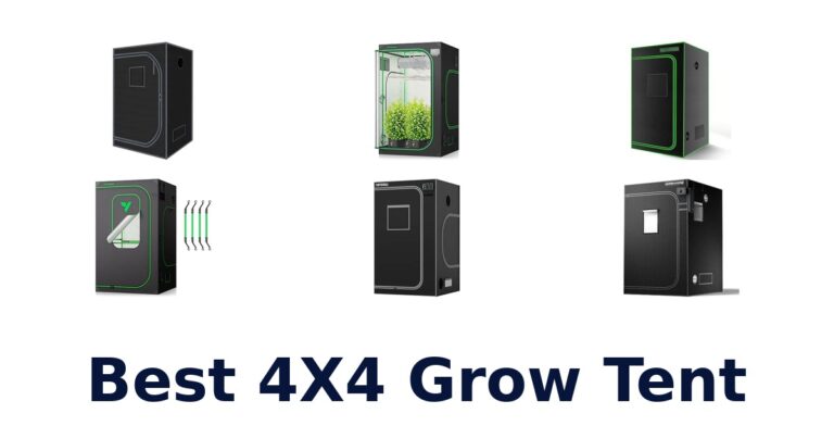 Best 4X4 Grow Tent
