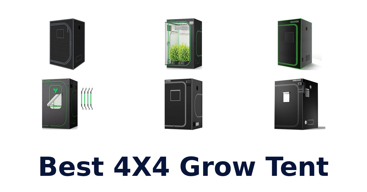 Best 4X4 Grow Tent