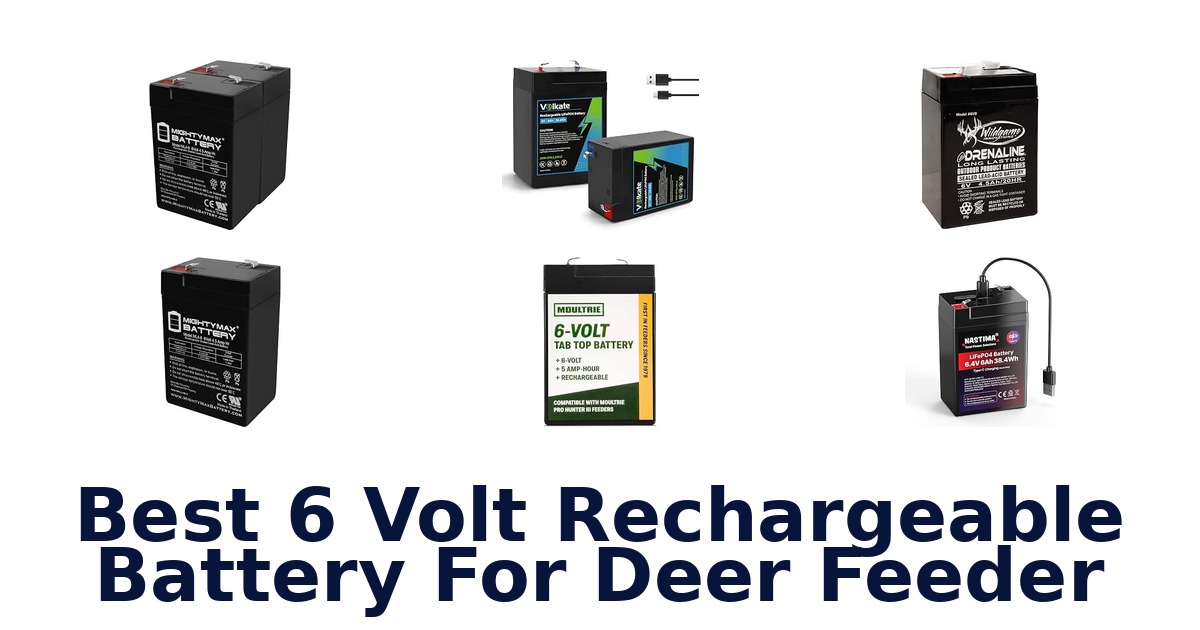 Best 6 Volt Rechargeable Battery For Deer Feeder