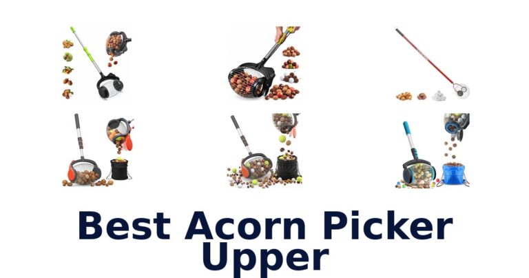 Best Acorn Picker Upper