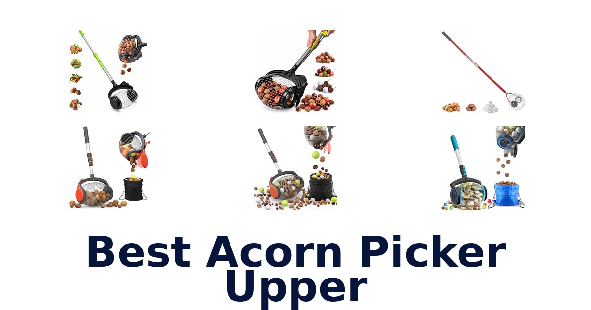 Best Acorn Picker Upper