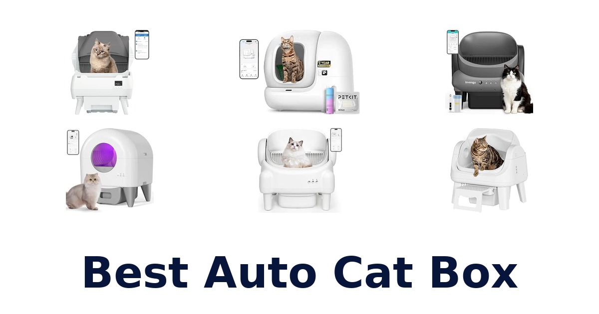 Best Auto Cat Box