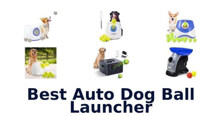 Best Auto Dog Ball Launcher