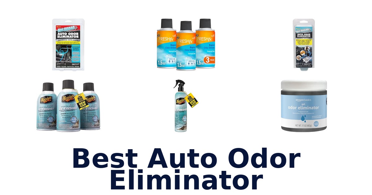 Best Auto Odor Eliminator