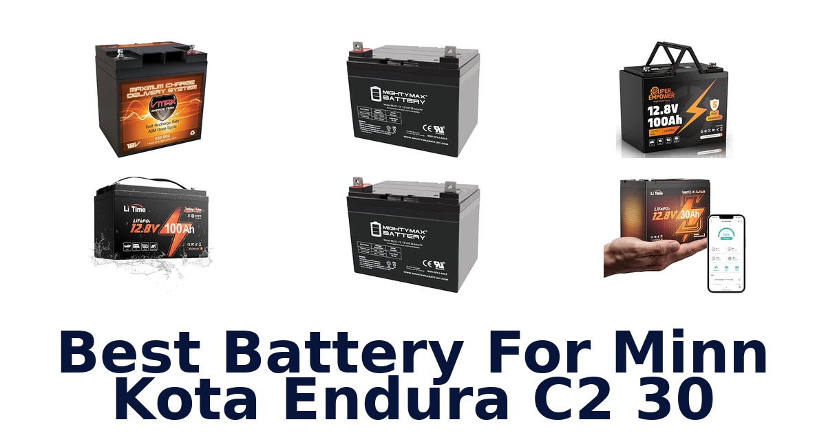 Best Battery For Minn Kota Endura C2 30