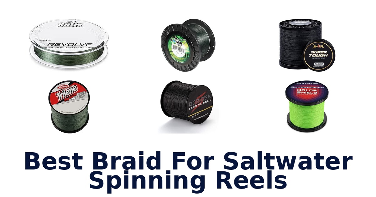 Best Braid For Saltwater Spinning Reels