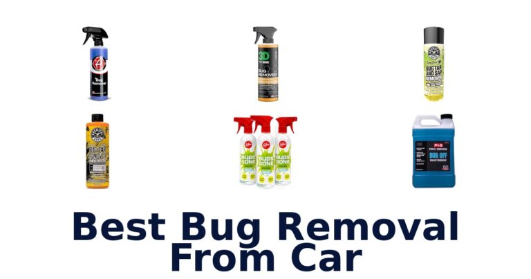 Best Bug Removal From Car