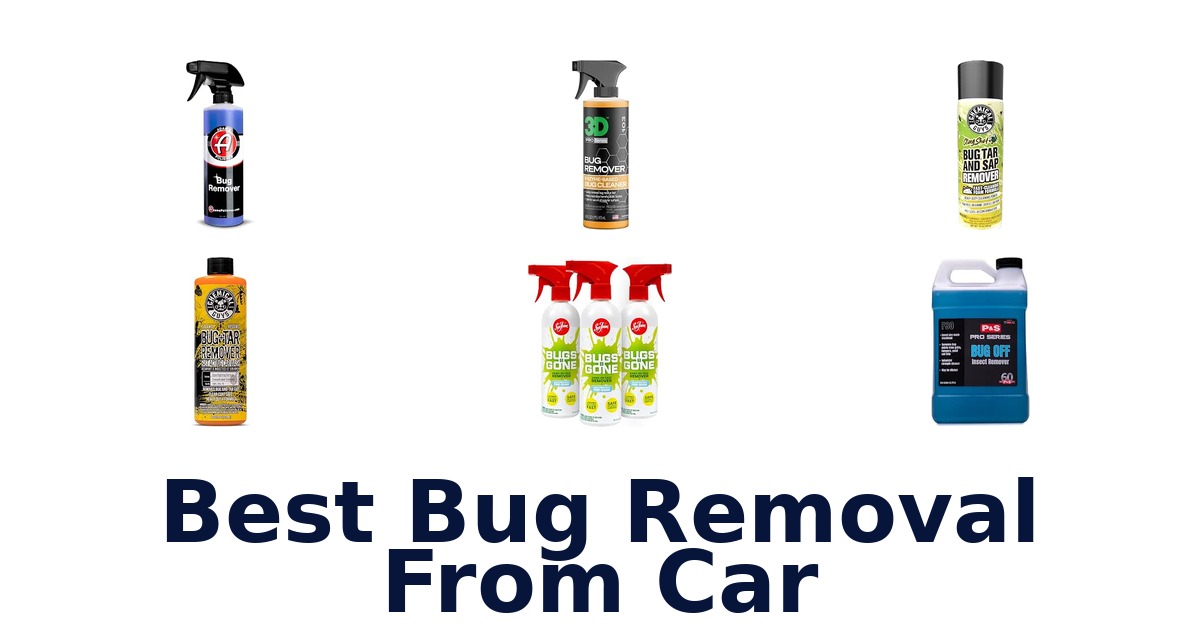 Best Bug Removal From Car