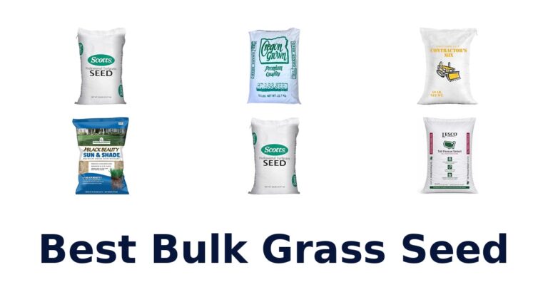 Best Bulk Grass Seed