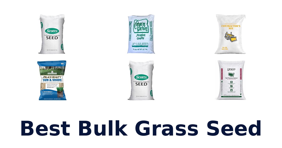 Best Bulk Grass Seed