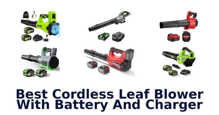 Best Cordless Leaf Blower With Battery And Charger