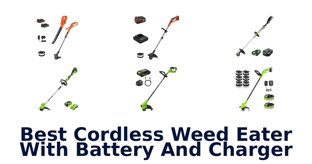 Best Cordless Weed Eater With Battery And Charger