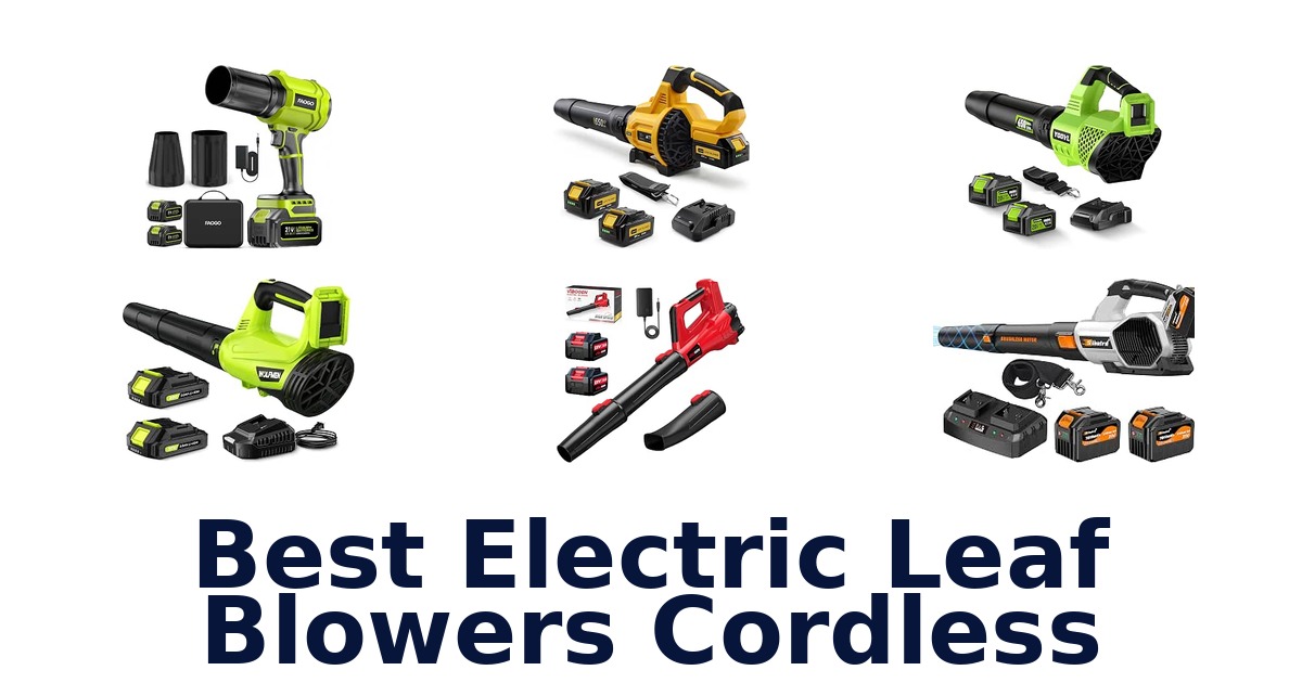 Best Electric Leaf Blowers Cordless