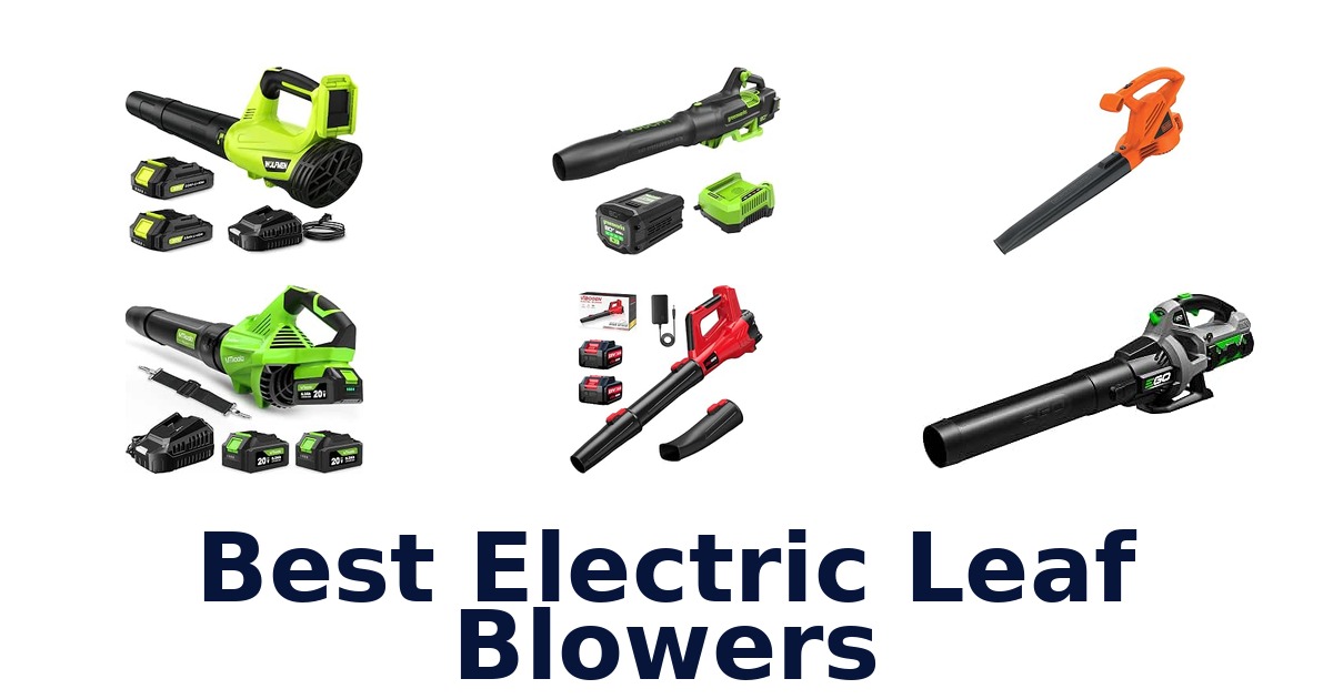 Best Electric Leaf Blowers