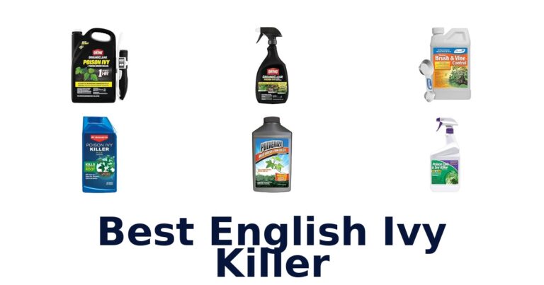 Best English Ivy Killer