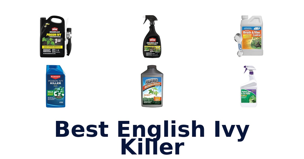 Best English Ivy Killer
