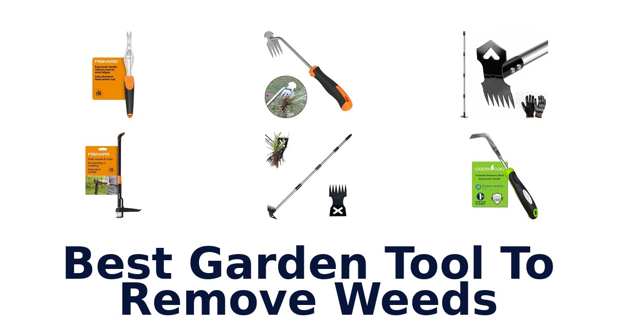 Best Garden Tool To Remove Weeds