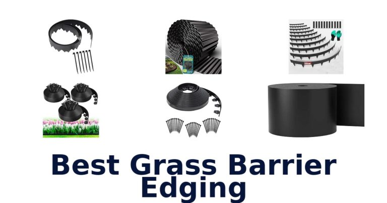 Best Grass Barrier Edging