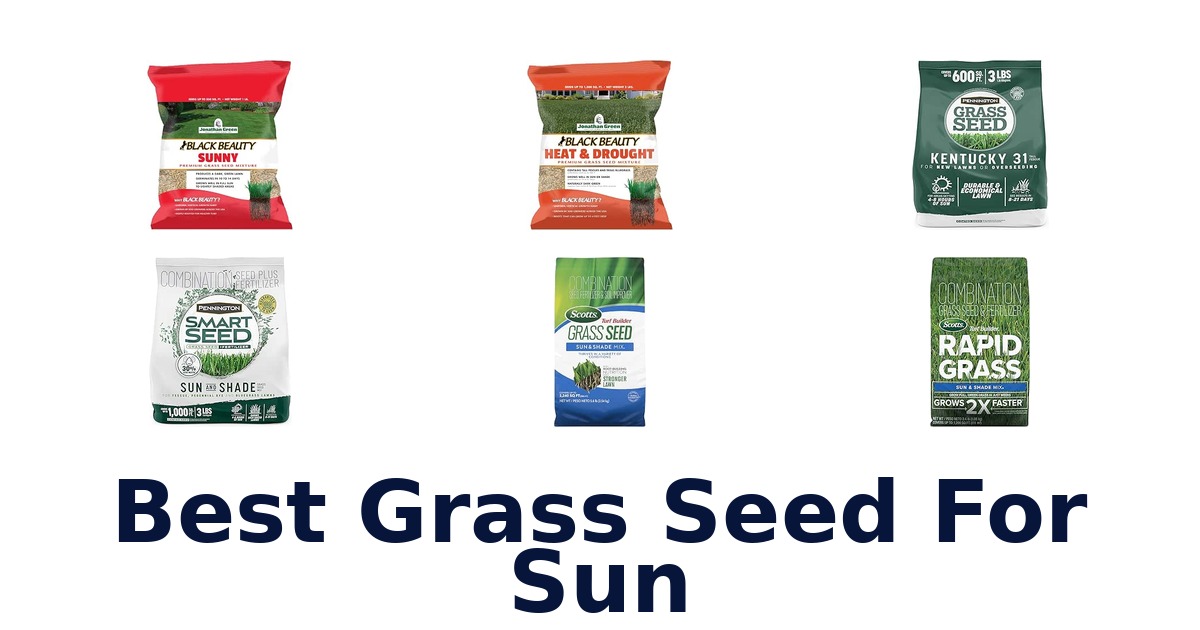 Best Grass Seed For Sun