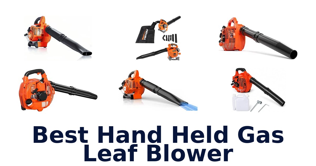 Best Hand Held Gas Leaf Blower