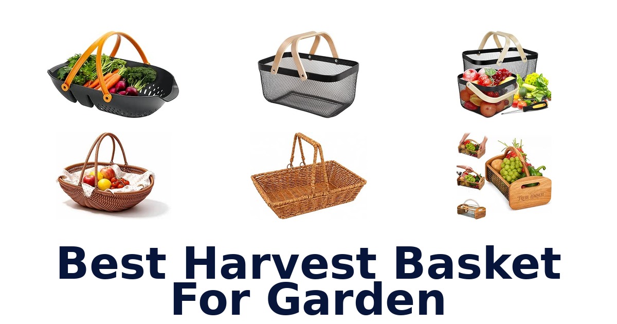 Best Harvest Basket For Garden