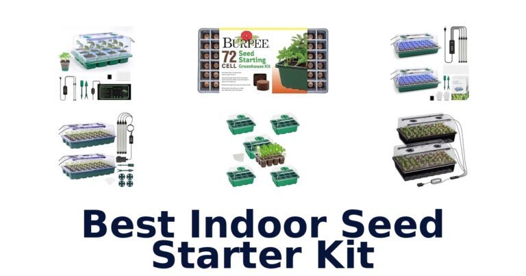 Best Indoor Seed Starter Kit