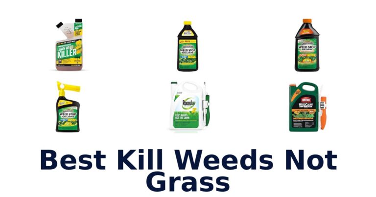 Best Kill Weeds Not Grass