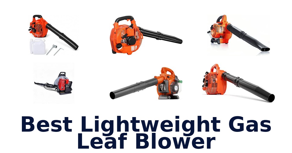 Best Lightweight Gas Leaf Blower