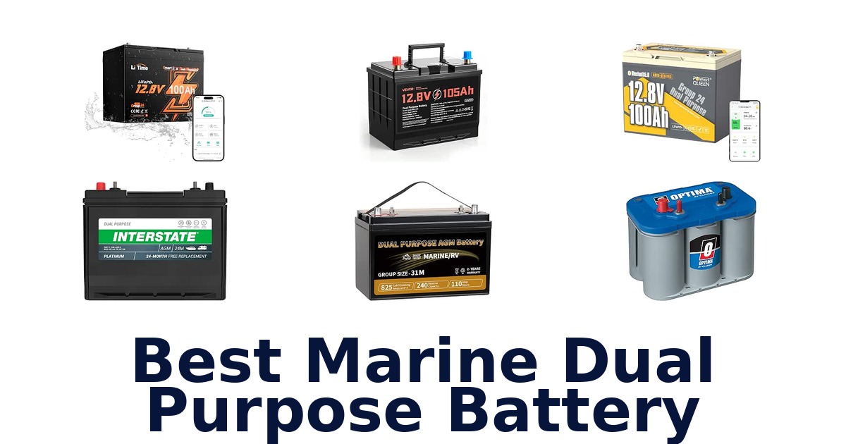 Best Marine Dual Purpose Battery