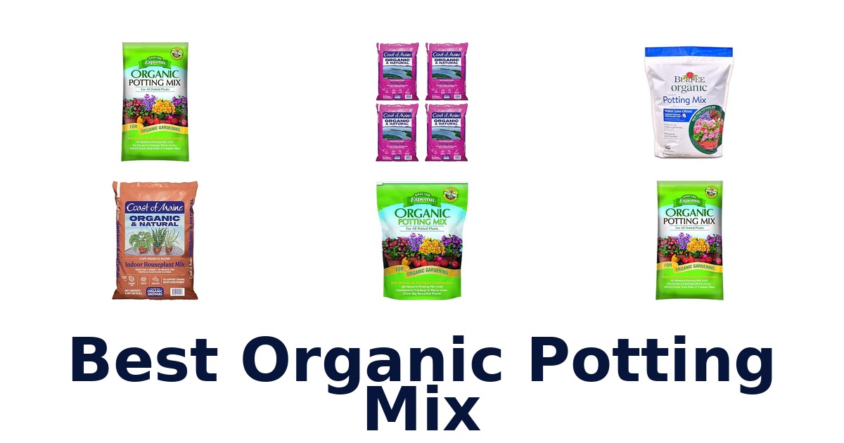 Best Organic Potting Mix